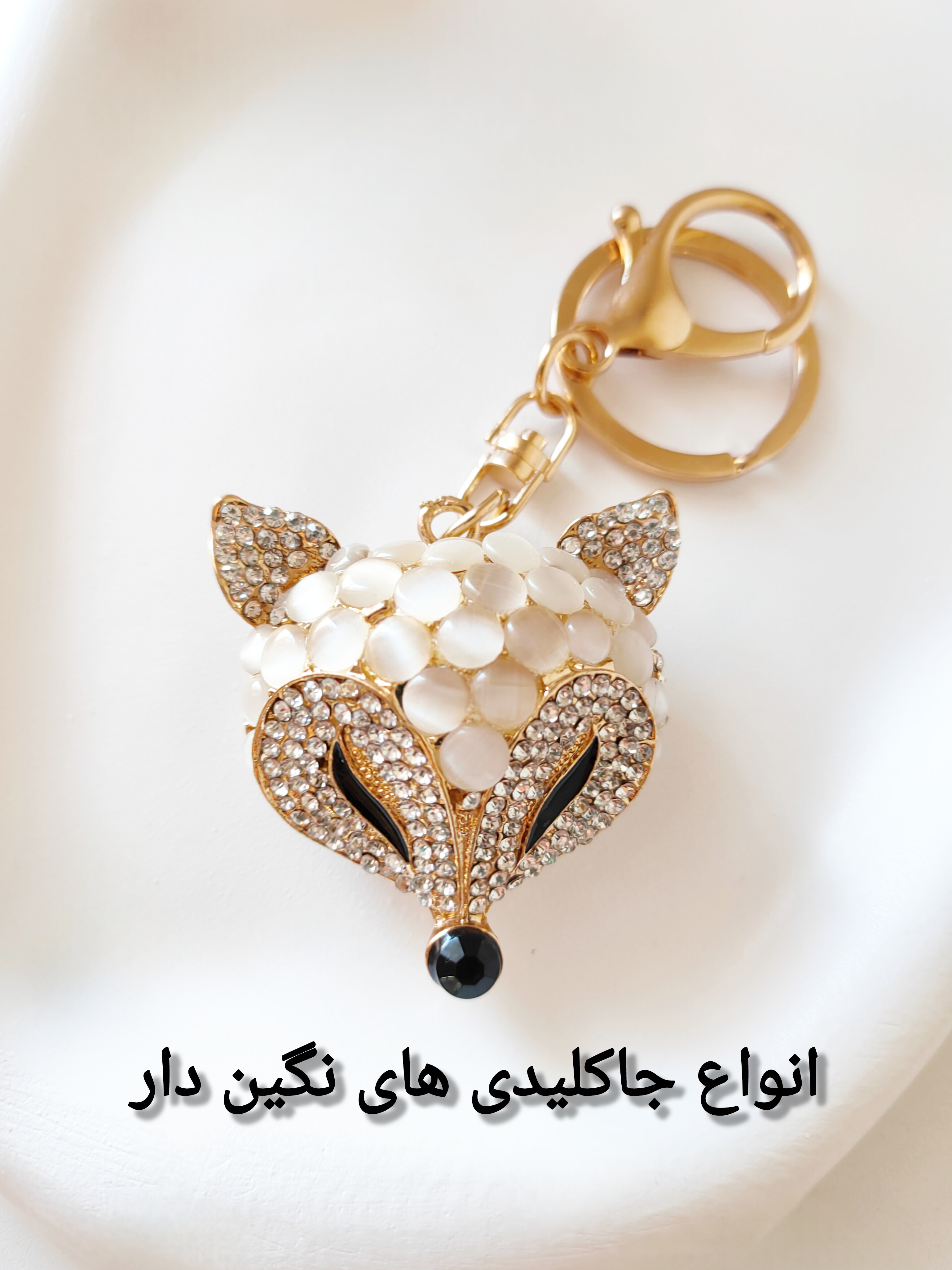 انواع جاکلیدی